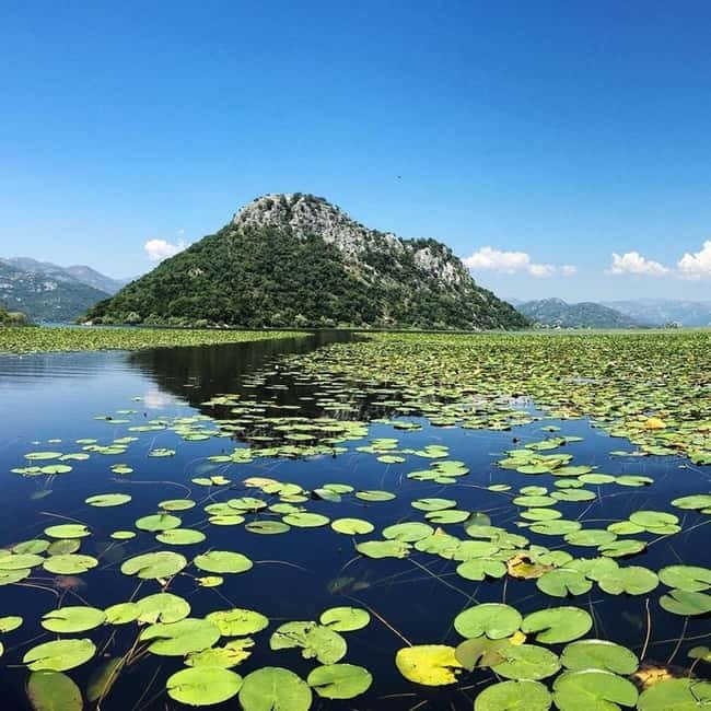 Virpazar: Skadar Lake National Park Guided Boat Tour - Along the Moraca River and around Vranjina
