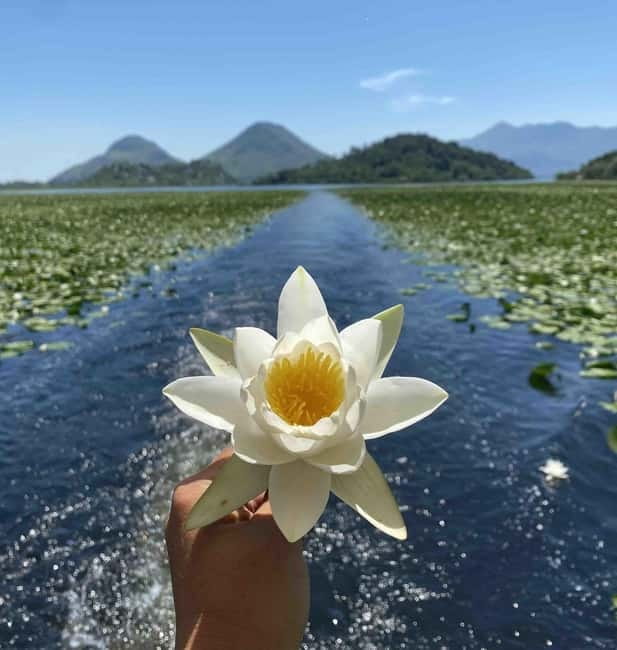 Virpazar Skadar Lake National Park Guided Boat Tour - Lesendro fortress and the story of the lake