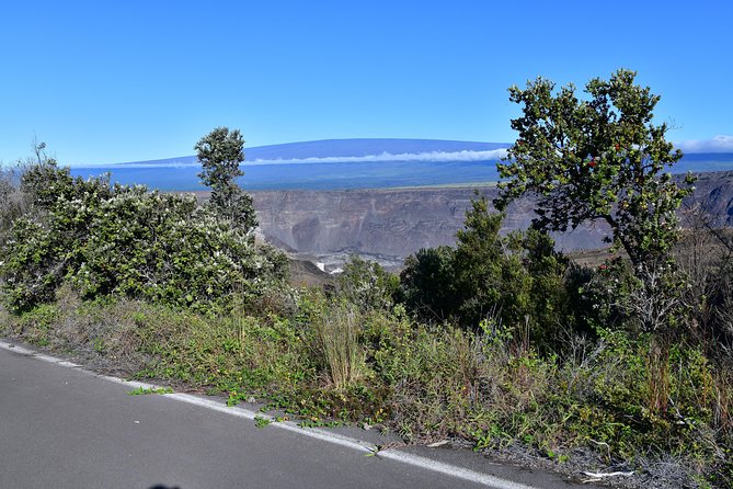 Volcano National Park Adventure From Kona - Kona coffee before the long haul