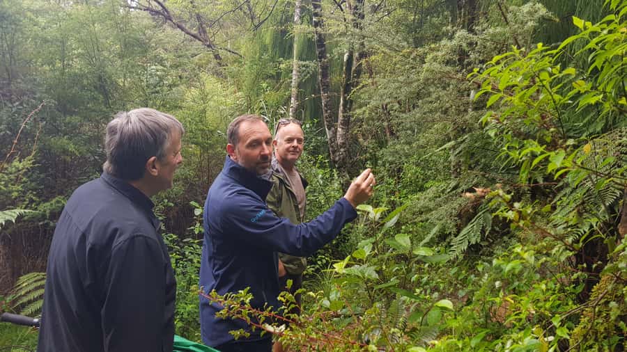 Waitakere Ranges Wilderness Experience Tour from Auckland - Key points at a glance