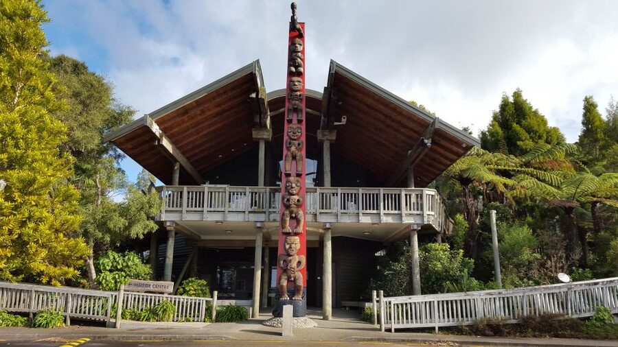 Waitakere Ranges Wilderness Experience Tour from Auckland - Why the guides matter so much