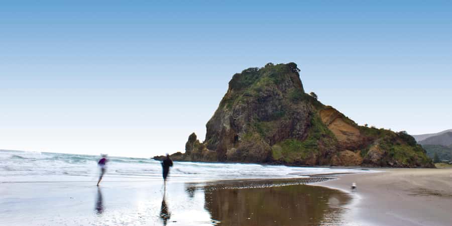 Waitakere Ranges Wilderness Experience Tour from Auckland - Arataki views, carvings, and a useful introduction
