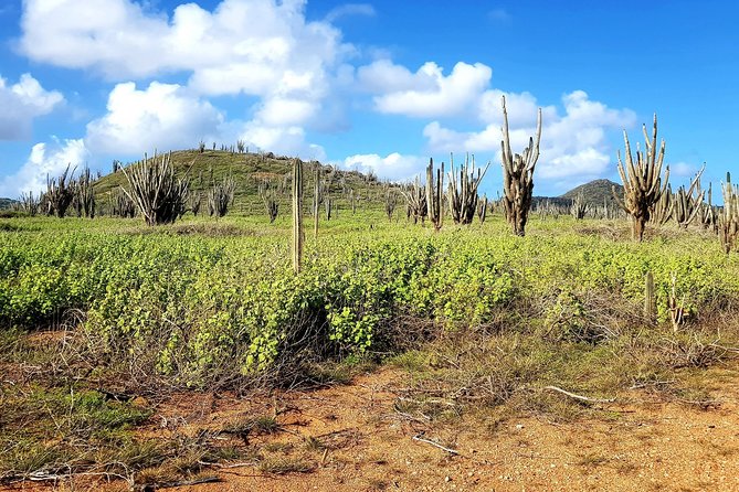 Washington Slagbaai National Park Tour in Bonaire - Seru Grandi brings the first big view