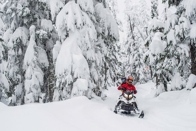 Whistler Wilderness Run Snowmobile Tour - How weather and snow affect the ride