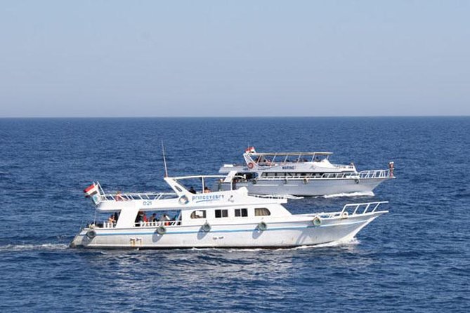 White Island & Ras Mohamed National Park Snorkeling Boat Trip - Group Size, Guides, and Communication