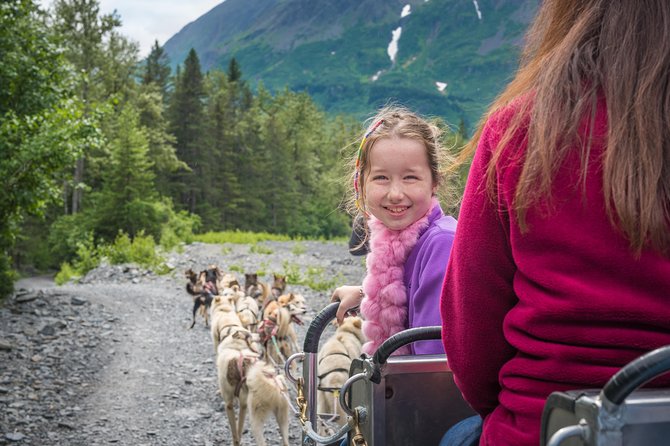 Wilderness Dog Sled Ride and Tour in Seward - Why This Seward Dog Tour Is More Than a Cart Ride