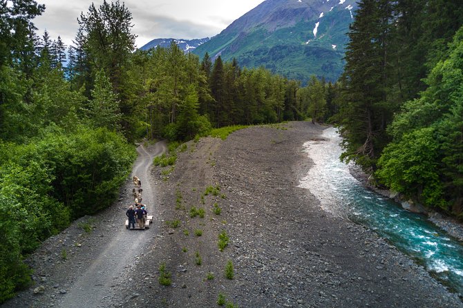 Wilderness Dog Sled Ride and Tour in Seward - Riding Through the Forest on a Wheeled Sled