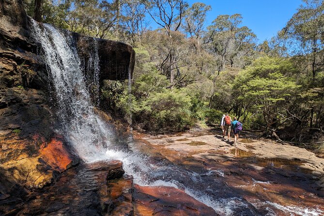 Wilderness, Waterfalls, Three Sisters BLUE MOUNTAINS PRIVATE TOUR - Echo Point and the Three Sisters