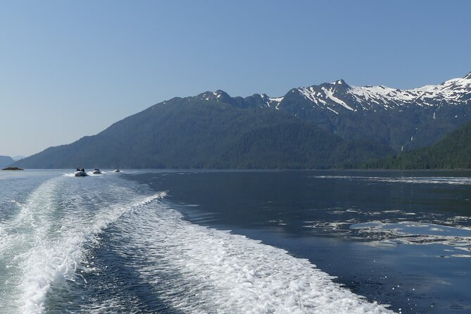 Wilderness Zodiac Quest - Driving your Zodiac through George Inlet
