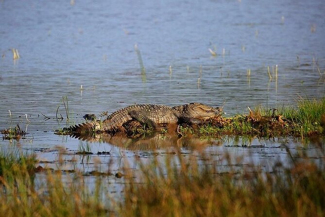 Wilpattu National Park Jeep Safari from Negombo / Waikkal (All Inclusive) - The 4:00 AM pickup from Negombo or Waikkal