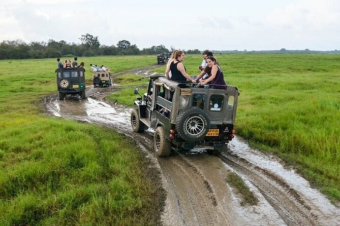 Wilpattu National Park Jeep Safari from Negombo / Waikkal (All Inclusive) - Lunch and the practical comforts