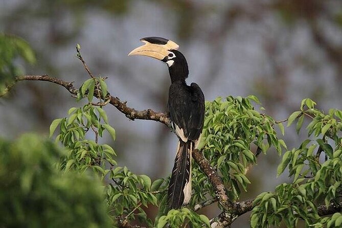 Wilpattu National Park Jeep Safari from Negombo / Waikkal (All Inclusive) - Is $152 per person good value?