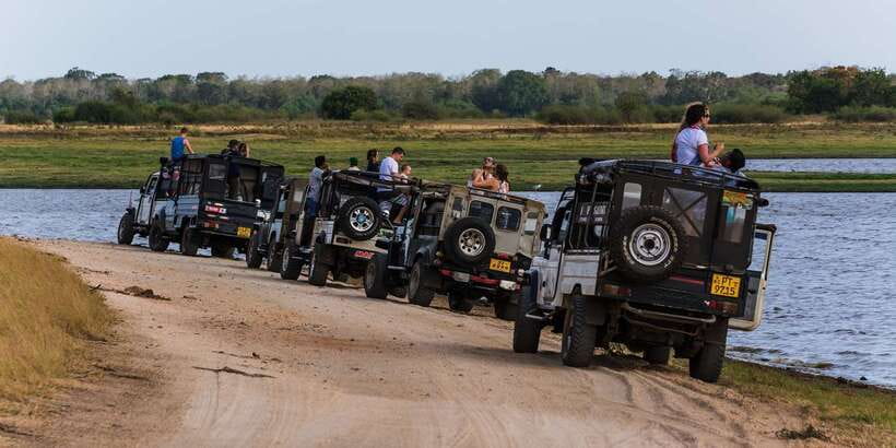 Wilpattu National Park Safari Tour from Colombo - Who will enjoy this safari most