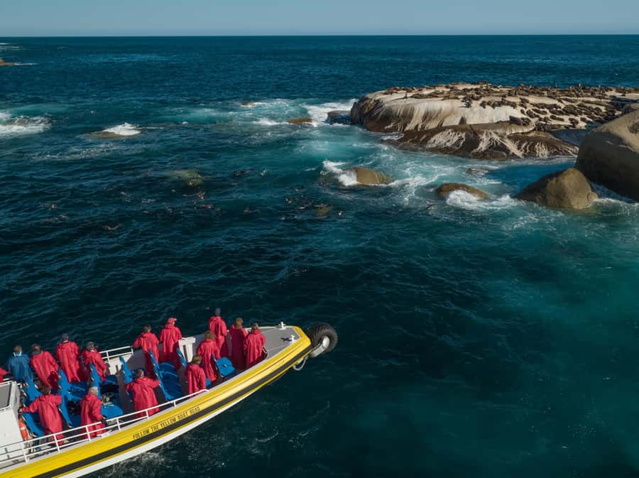 Wilsons Promontory: Afternoon Wilderness Cruise - Key points to know before you book