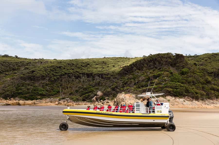 Wilsons Promontory: Afternoon Wilderness Cruise - South Point and Bass Strait