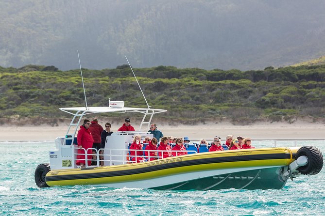 Wilsons Promontory Wilderness Cruise from Tidal River - Granite cliffs, beaches, and Skull Rock