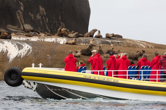 Wilsons Promontory Wilderness Cruise from Tidal River - Seals, dolphins, whales, and seabirds