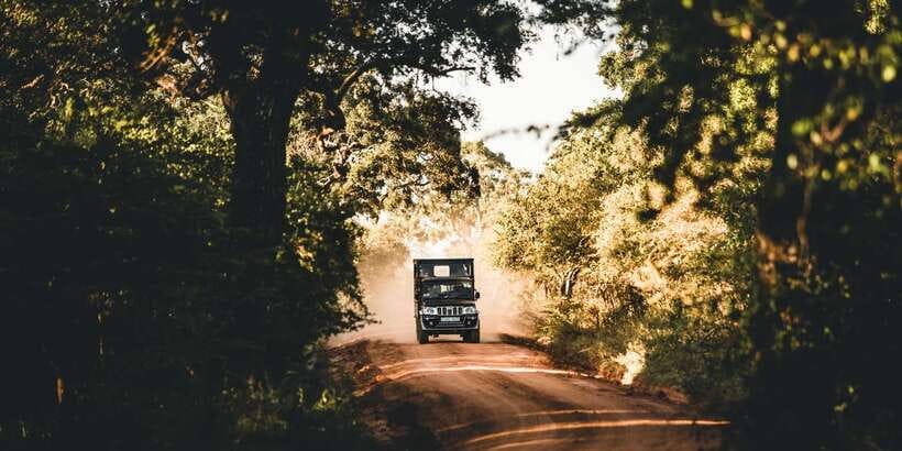 Yala: Morning or Afternoon All-inclusive Private Safari - Why this Yala safari is worth considering