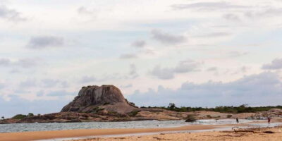 Yala National Park: Half, 7-Hour, or Full-Day Safari & Meals