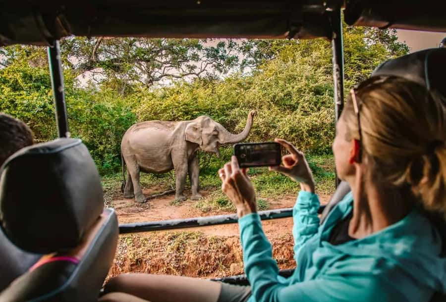 YALA National Park Safari Tour : Half day or Full day Tour - Why Yala is worth your time