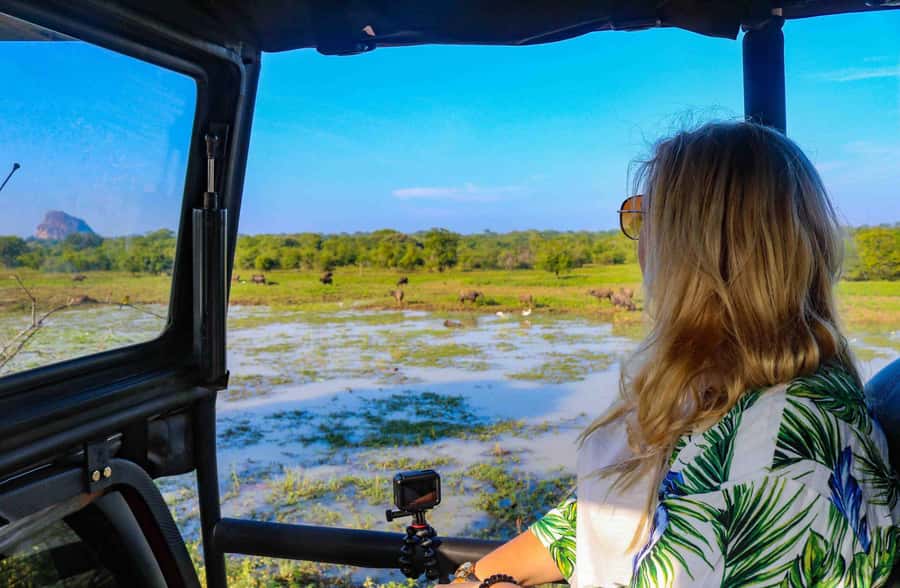 YALA National Park Safari Tour : Half day or Full day Tour - Is the $10 price really a bargain?
