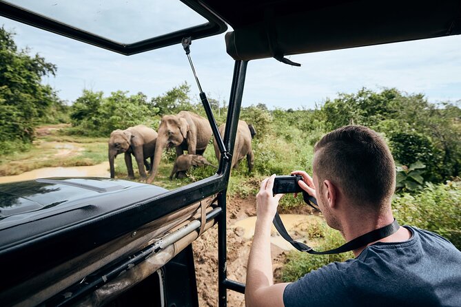 Yala National Park Wildlife Safari/ Game Drive - by Ajith Safari - Choosing four hours, seven hours, or a full day