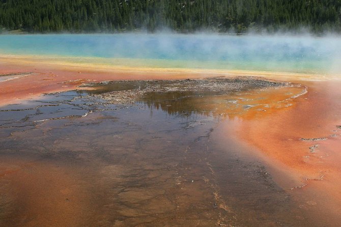 Yellowstone National Park - Full-Day Lower Loop Tour from Jackson - Hayden Valley for bison, elk, and bears
