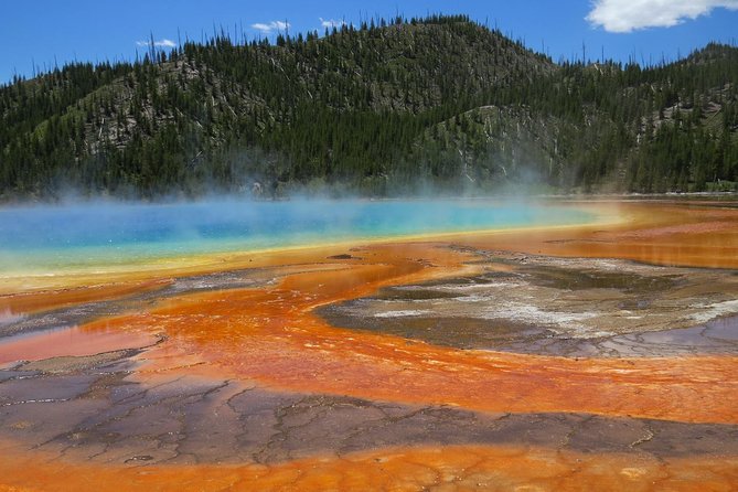 Yellowstone National Park - Full-Day Lower Loop Tour from West Yellowstone - Hayden Valley for bison, elk, and bears