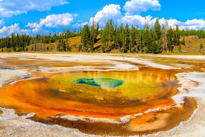 Yellowstone National Park Self-Guided Driving Audio Tour - Dunraven Pass, Mount Washburn, and the Grand Canyon