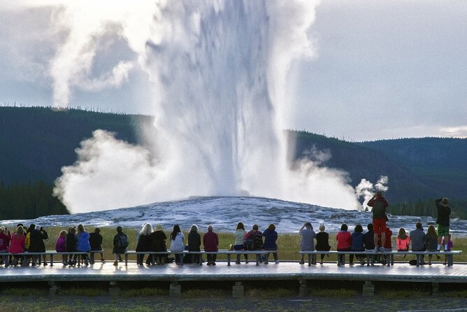 Yellowstone National Park Tour from Jackson Hole - The Grand Canyon of the Yellowstone and Lower Falls