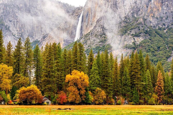 Yosemite Highlights & Giant Sequoias Day Tour from San Francisco - Key points at a glance