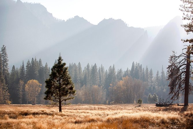 Yosemite Highlights & Giant Sequoias Day Tour from San Francisco - What this Yosemite day trip really involves