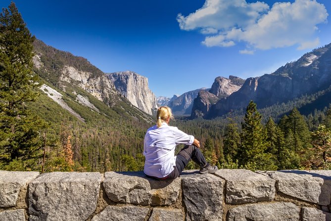 Yosemite Highlights & Giant Sequoias Day Tour from San Francisco - Bridalveil Fall and the Merced River