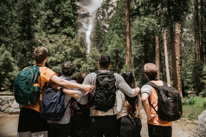 Yosemite Highlights & Giant Sequoias Day Tour from San Francisco - El Capitan and Valley View on the way out