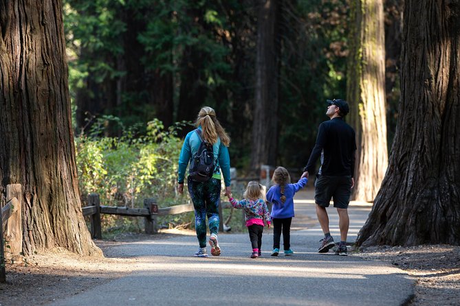 Yosemite Highlights & Giant Sequoias Day Tour from San Francisco - The long road from San Francisco to Oakdale