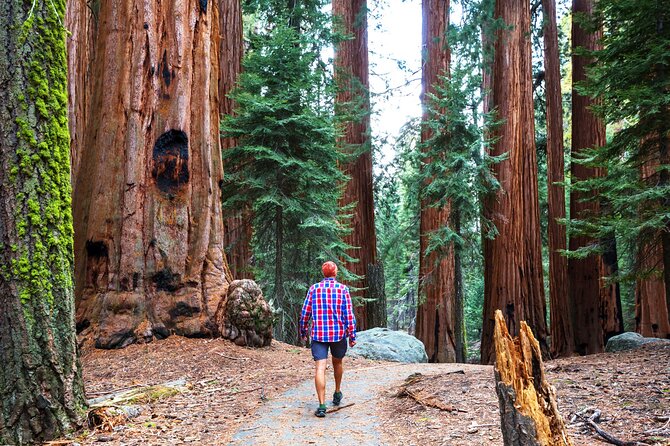 Yosemite National Park 2-Day Tour from San Francisco with Lodging - Tunnel View and the first Yosemite Valley reveal