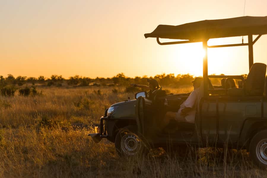 Zambezi National Park Game Drive in a Small Group - What the three-hour drive feels like