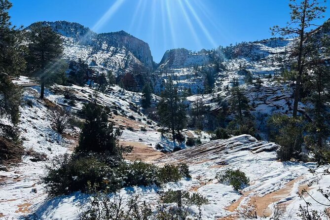 Zion National Park Hiking Tour from Las Vegas Small Group Max 14 - Wildlife and the value of an informed driver