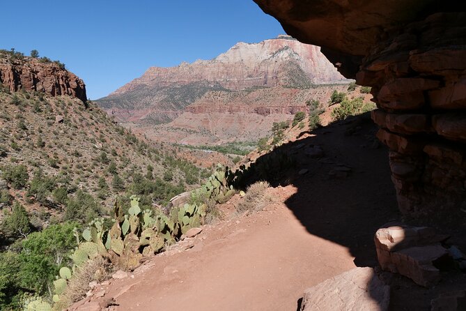 Zion National Park Small Group Tour from Las Vegas - Why this Las Vegas day trip works