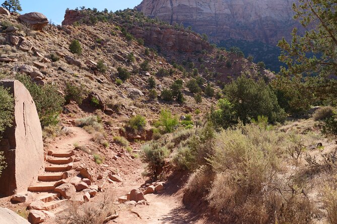 Zion National Park Small Group Tour from Las Vegas - Zion Canyon Scenic Drive and the main sights